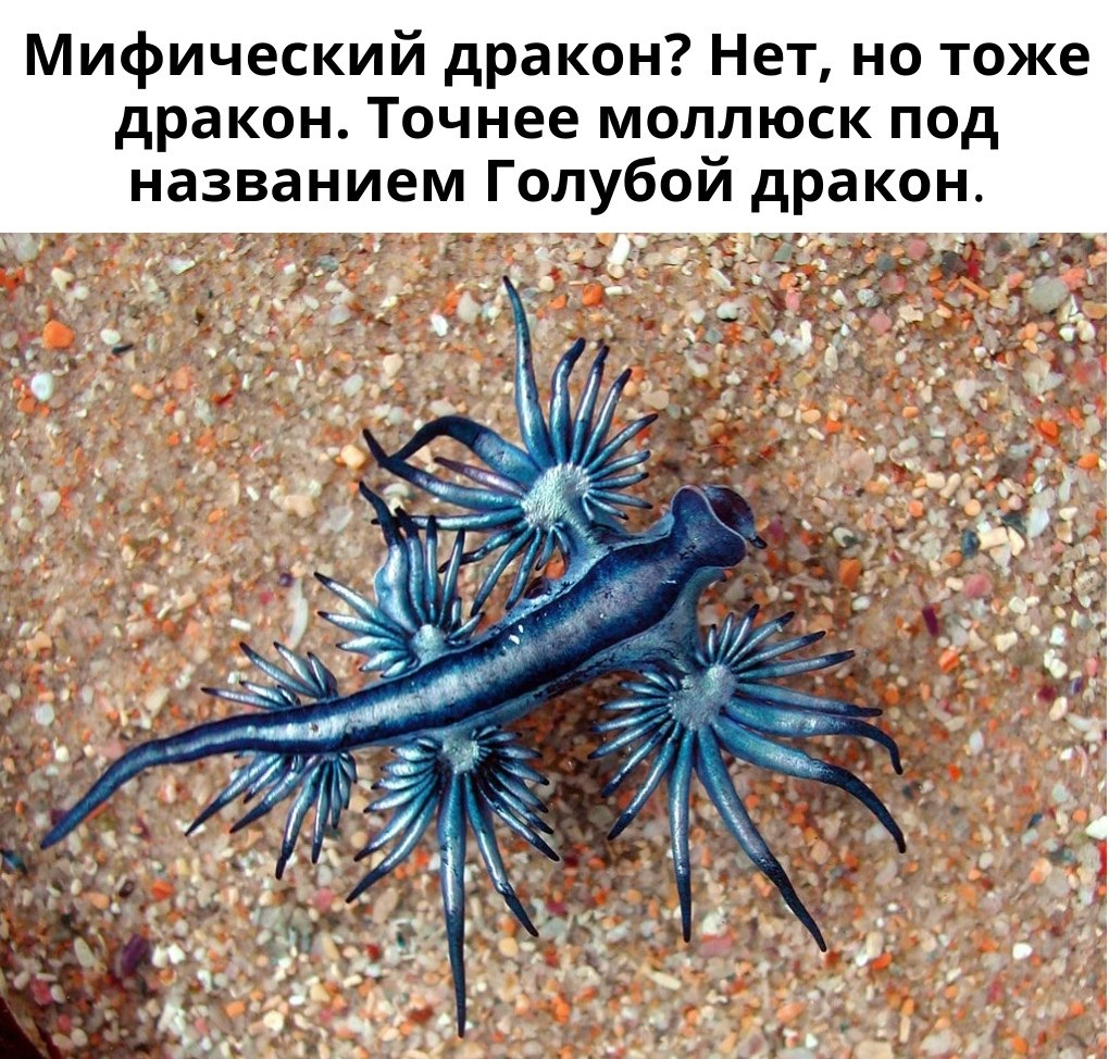���� ������� ����� ����� �������, ������� ������������ �� ���� ������ ��-�� ���� � �������.