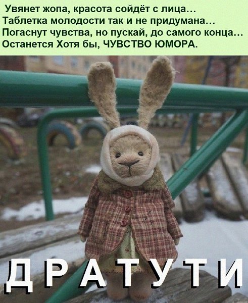   :D - 13  2021  20:29
