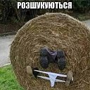  ,  -  12  2021    