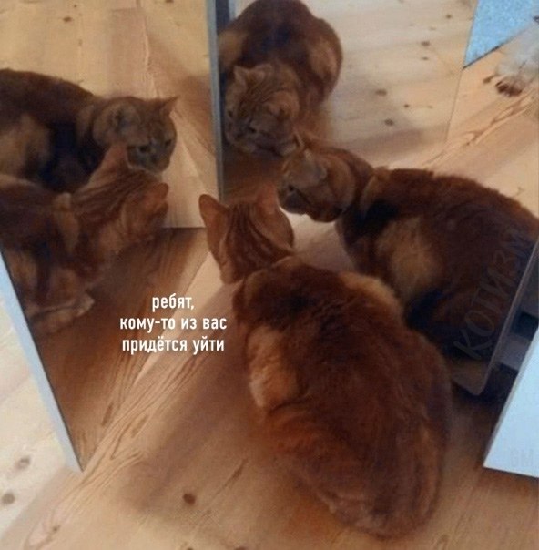 :      ,   . :