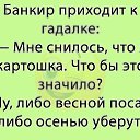 ���� Gemini, ��������, 64 ���� - ��������� 16 �������� 2021 � ������ ������ ��������