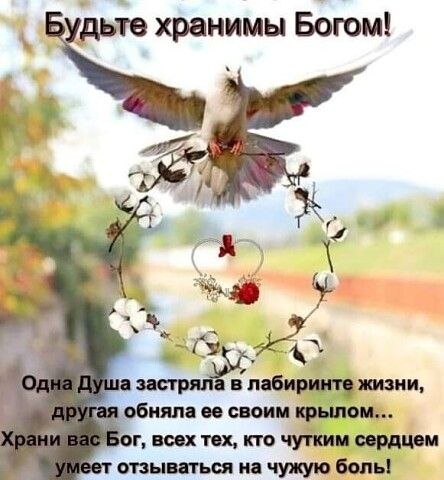       ,          ,     ...