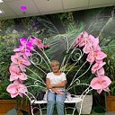 ���� ������, �����-��������� - ��������� 7 ������� 2021 � ������ ������ ��������