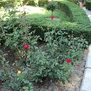 ���� ������, ������ �����, 61 ��� - ��������� 17 ���� 2021