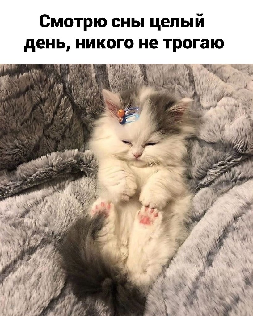 ���-�� ��� � �����, �� � ����� �� ������.�������