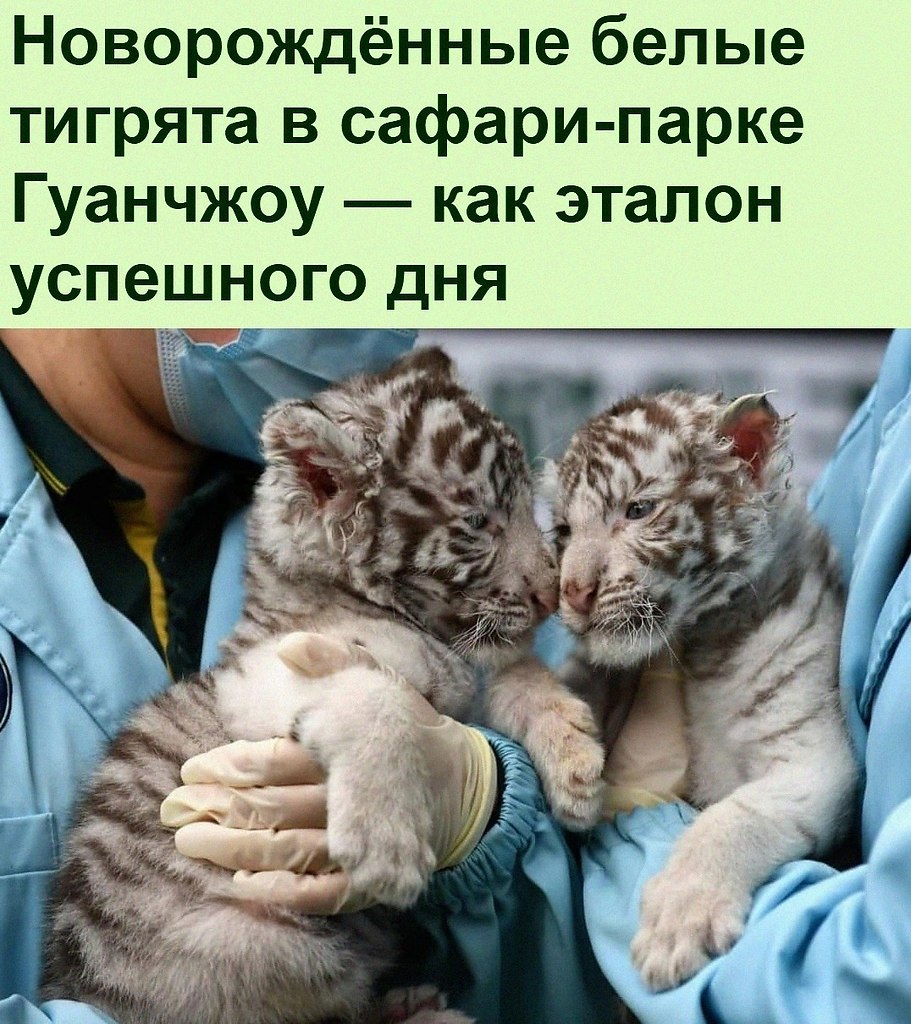   :D - 28  2022  06:45