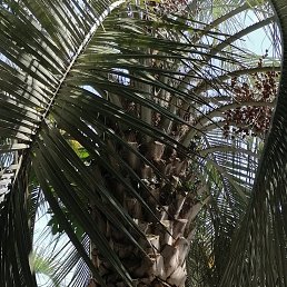 ���� ���������, ������-���������� - ��������� 24 ������� 2021