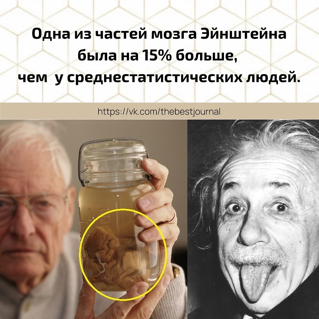 BEST | , ,  - 2  2021  20:36