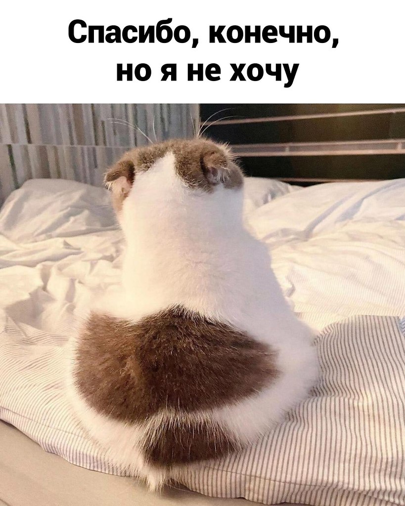   -   . - 2