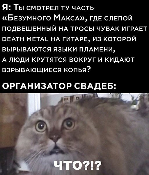 ���� � ���� ����� ����� �������, � ���� ������ ������.������� ����������
