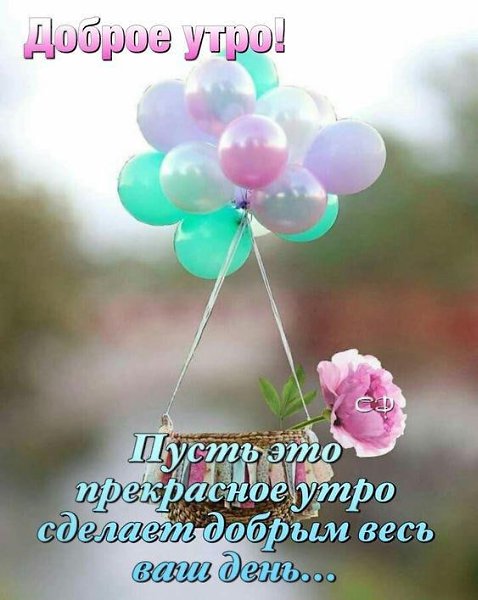   ,    . - 9  2021  01:06 - 9