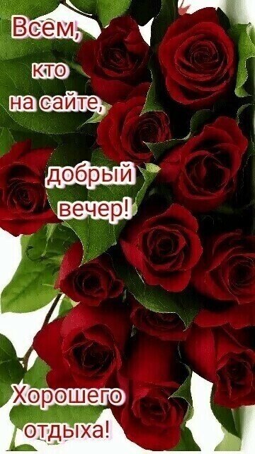 ***Victoria Viktorovna*** - 18  2021  14:45