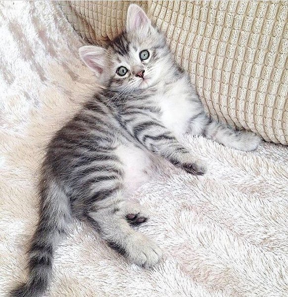 ����������� ���� ����!