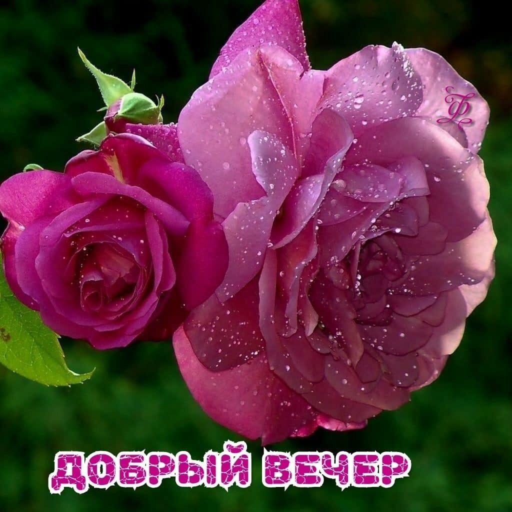   ,    . - 2  2021  20:13 - 6