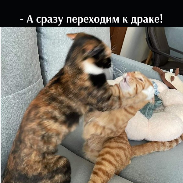       - 22  2022  22:43 - 4