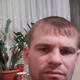 , , 44 