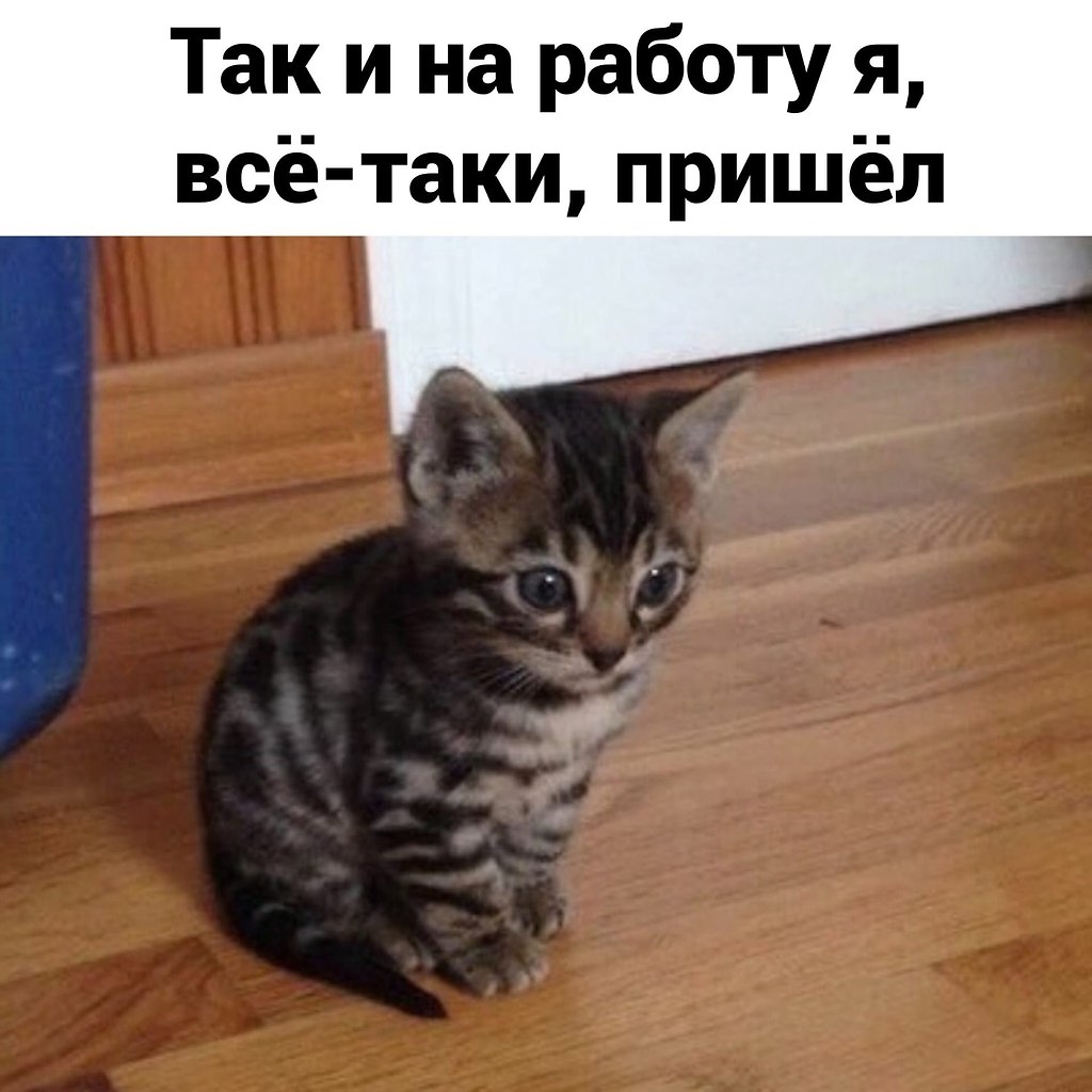  ,    ...  - 4