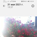 ���� ������, ������, 56 ��� - ��������� 26 ������ 2021