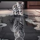 ���� �����, ������������ - ��������� 10 ������� 2021 � ������ ���� ����������