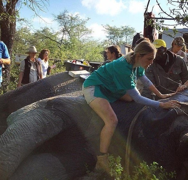 o  a o e -  , o a o o ... - 3