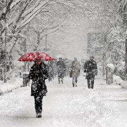 ���� �������, ����-��������� - ��������� 20 ������� 2021