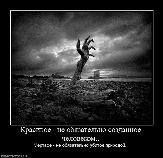  - 27  2021  03:34