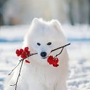 ���� ���������, ������, 57 ��� - ��������� 6 ������ 2022 � ������ ���� ����������