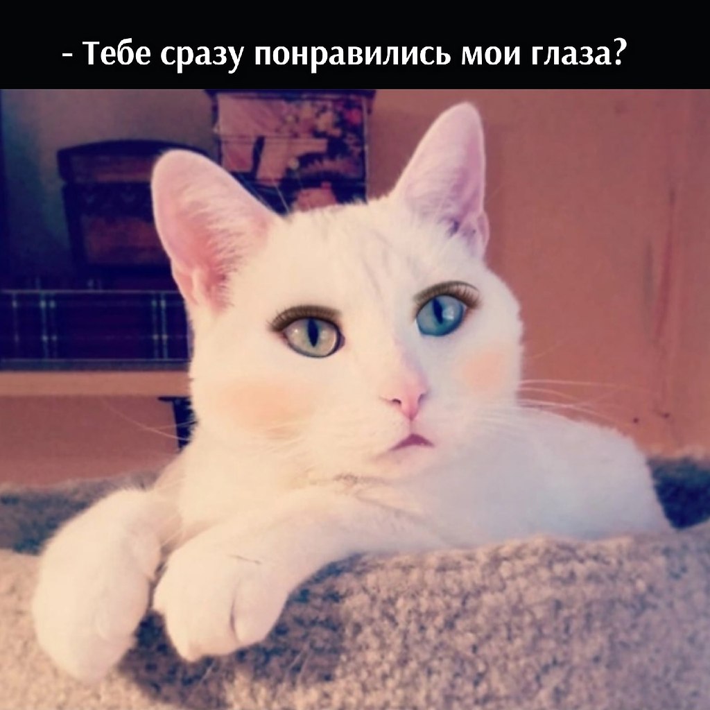       - 25  2021  16:59 - 3