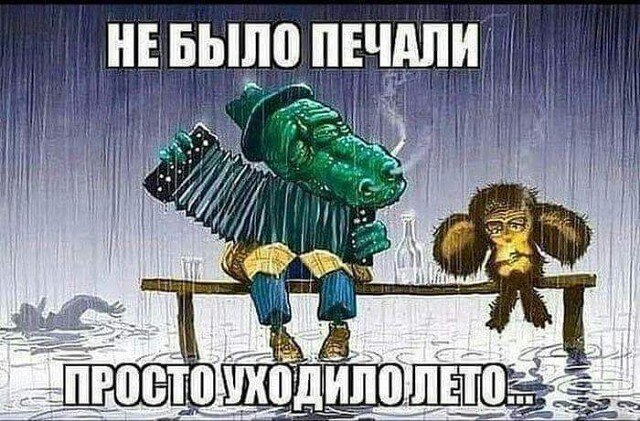  - 7  2021  09:52