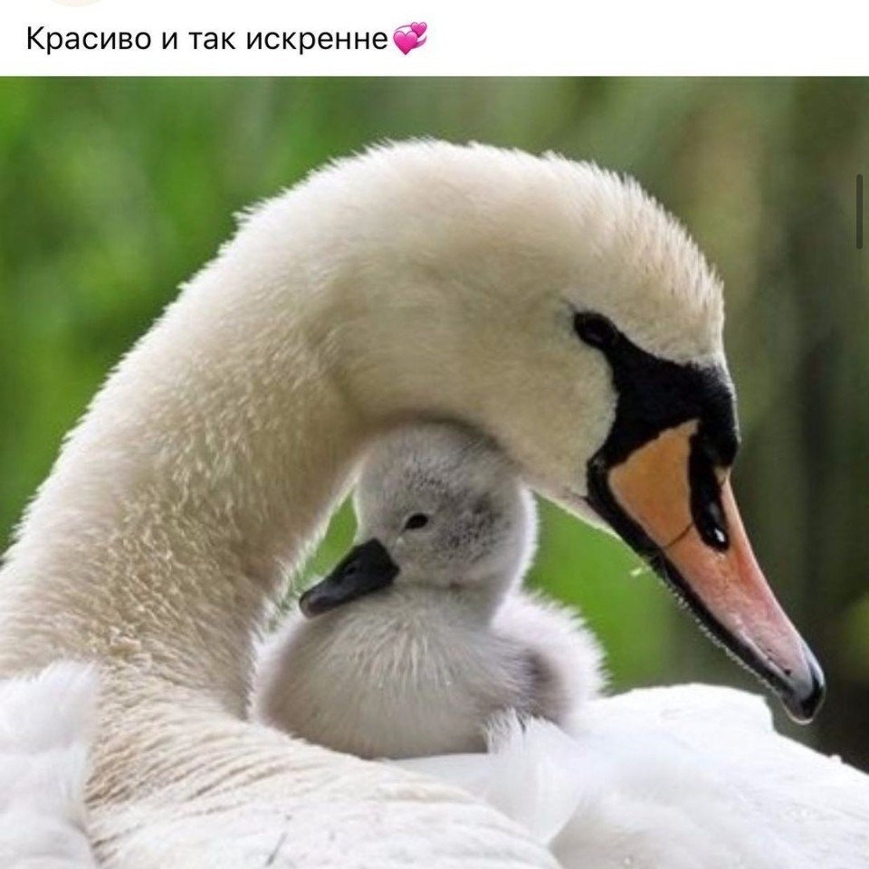  .  !