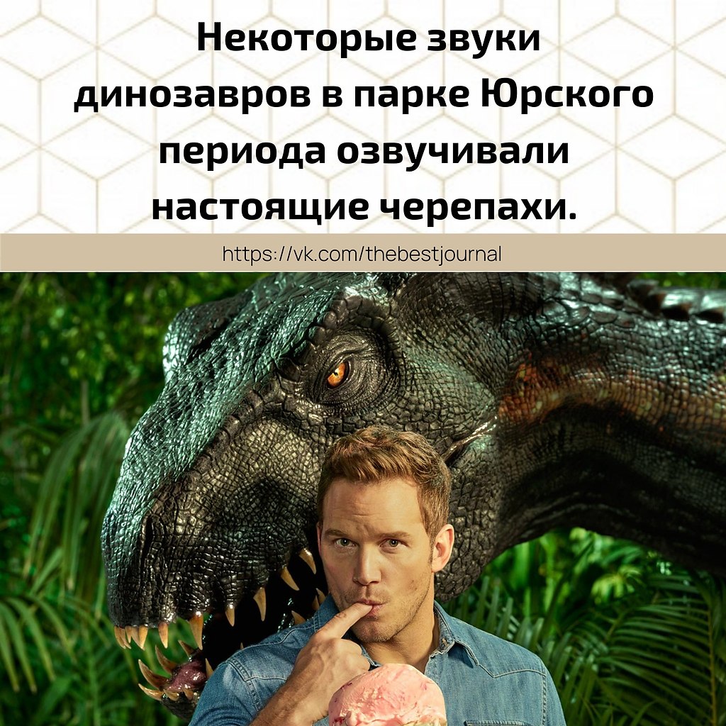 BEST | , ,  - 3  2021  08:30
