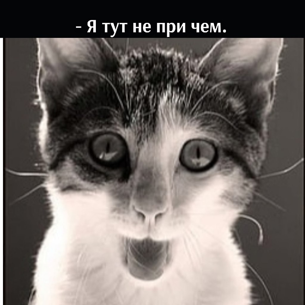       - 24  2021  17:13 - 3