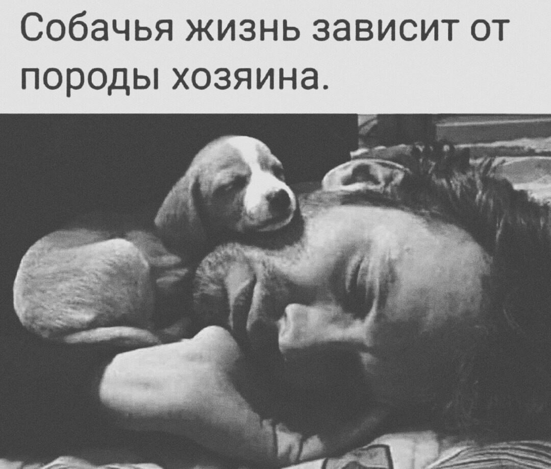 ***Victoria Viktorovna*** - 9  2021  03:18