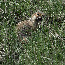 ���� ��������, ��������� - ��������� 28 ����� 2021