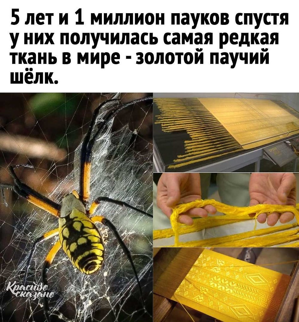        ! - 2
