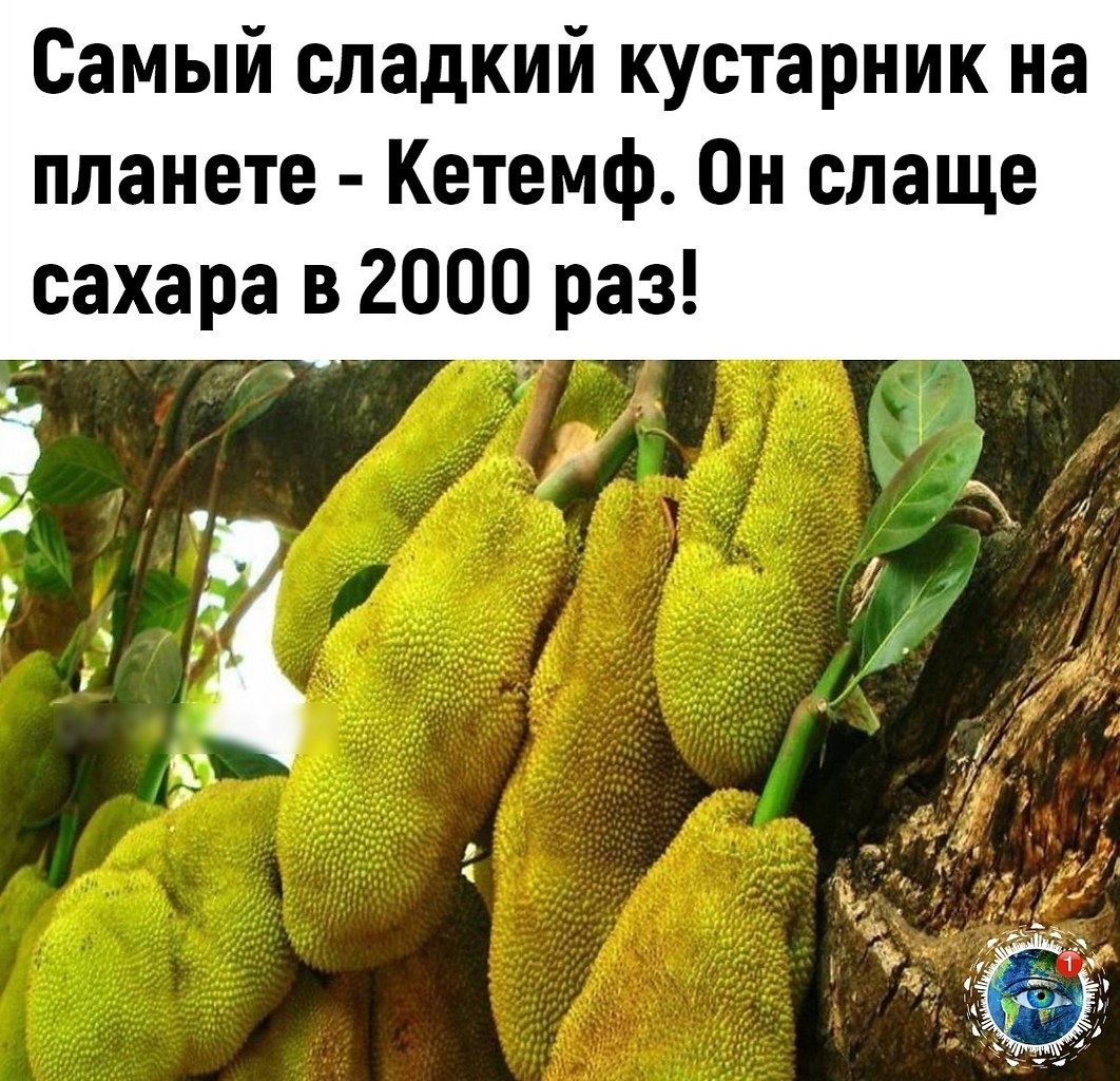    4     - 2