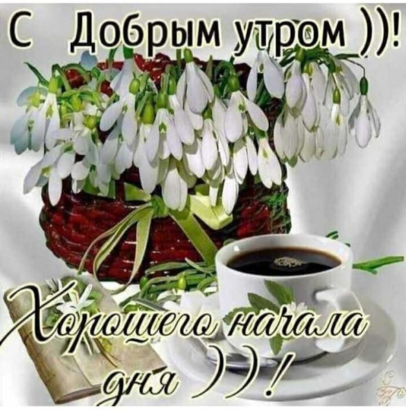   ,    . - 1  2021  23:36