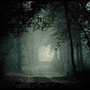 ���� Flower, ����������, 27 ��� - ��������� 16 ������ 2021 � ������ ������ ��������