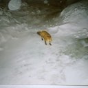 . 21 .    -1   .     .       4 .    