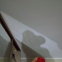 ���� �����������, ������������, 44 ���� - ��������� 12 ������� 2021
