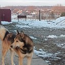 ���� ���, ����� - ��������� 25 ������� 2021 � ������ ���� ����������