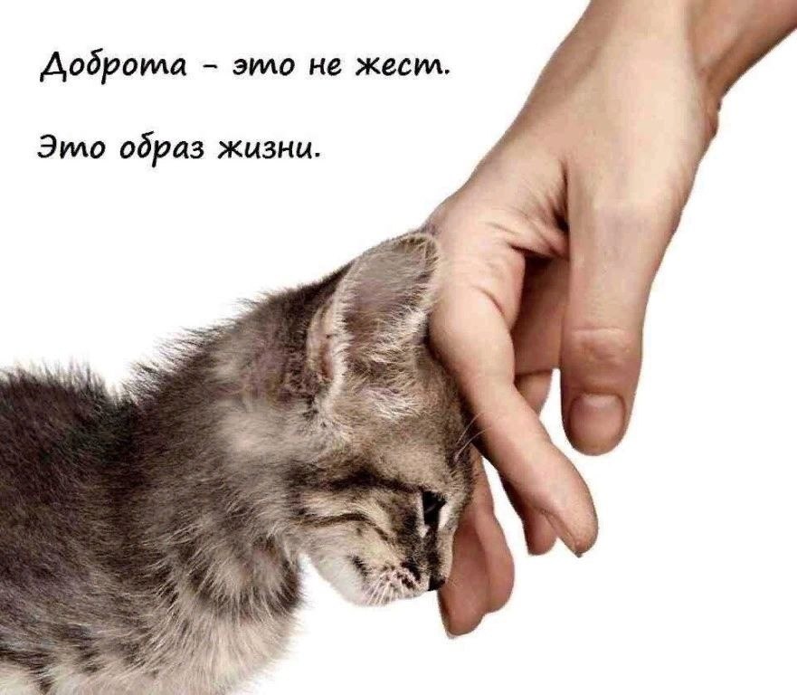   !   ...        ...