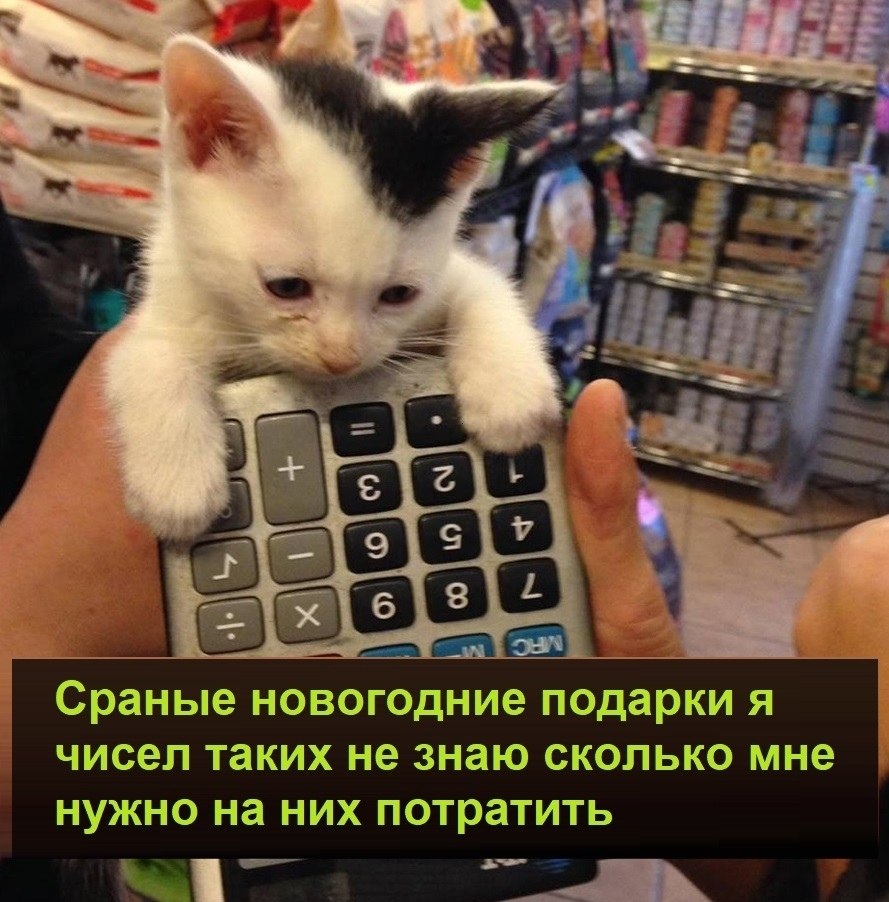  :D - 12  2021  11:37
