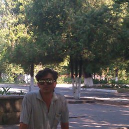 ����, ������, 55 ���