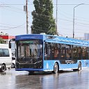  Semen, , 31  -  15  2021    