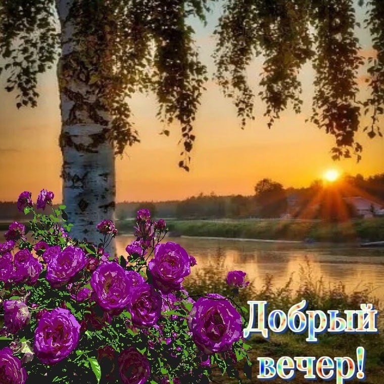   ,    . - 6  2021  18:36 - 6