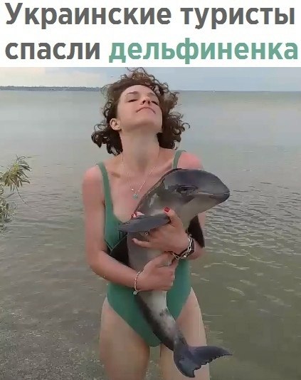    - 21  2021  16:09