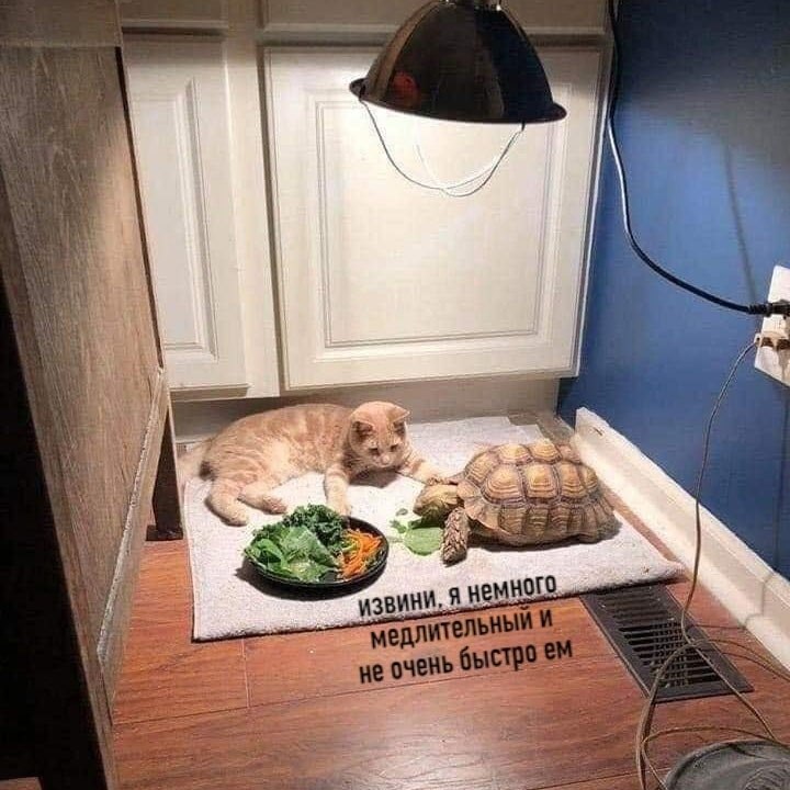   ,   ,    