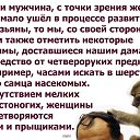 ���� ������, �����-��������� - ��������� 21 ������� 2021 � ������ ������ ��������