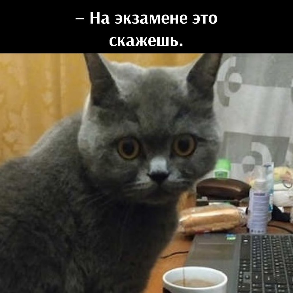       - 11  2021  19:52 - 2